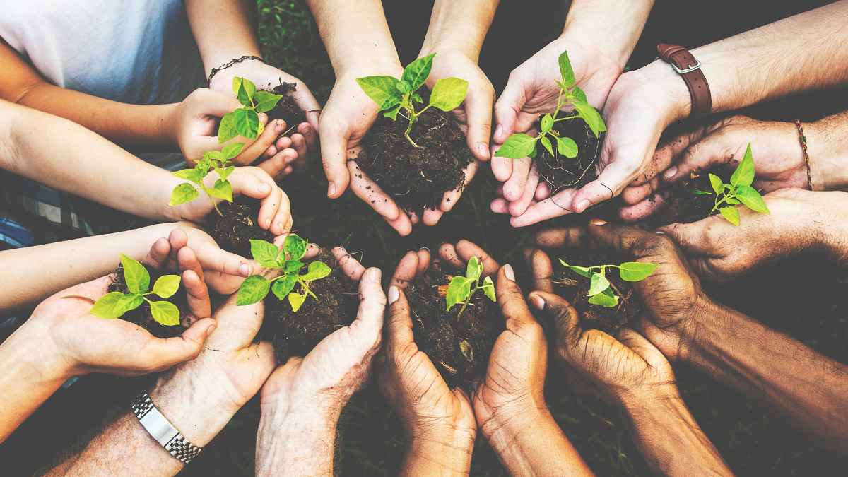 cp_events-webinare_1200x675