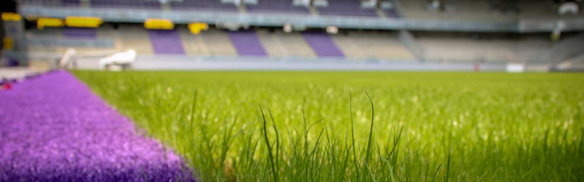 Stadion