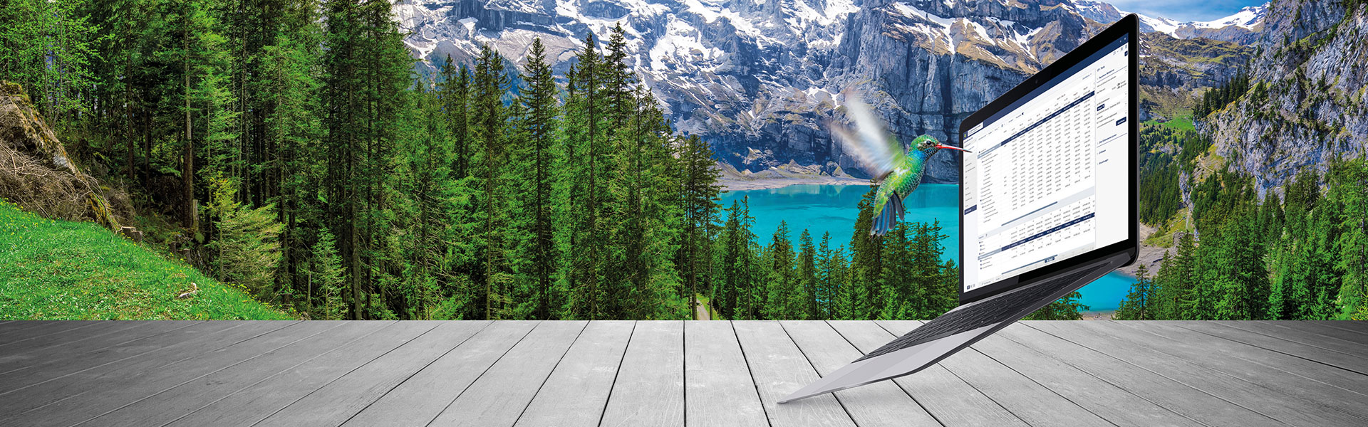 cp_loesungen_header