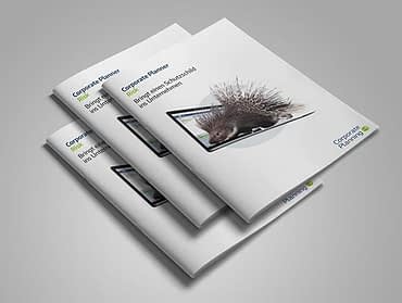 teaser-risiko-management-broschuere