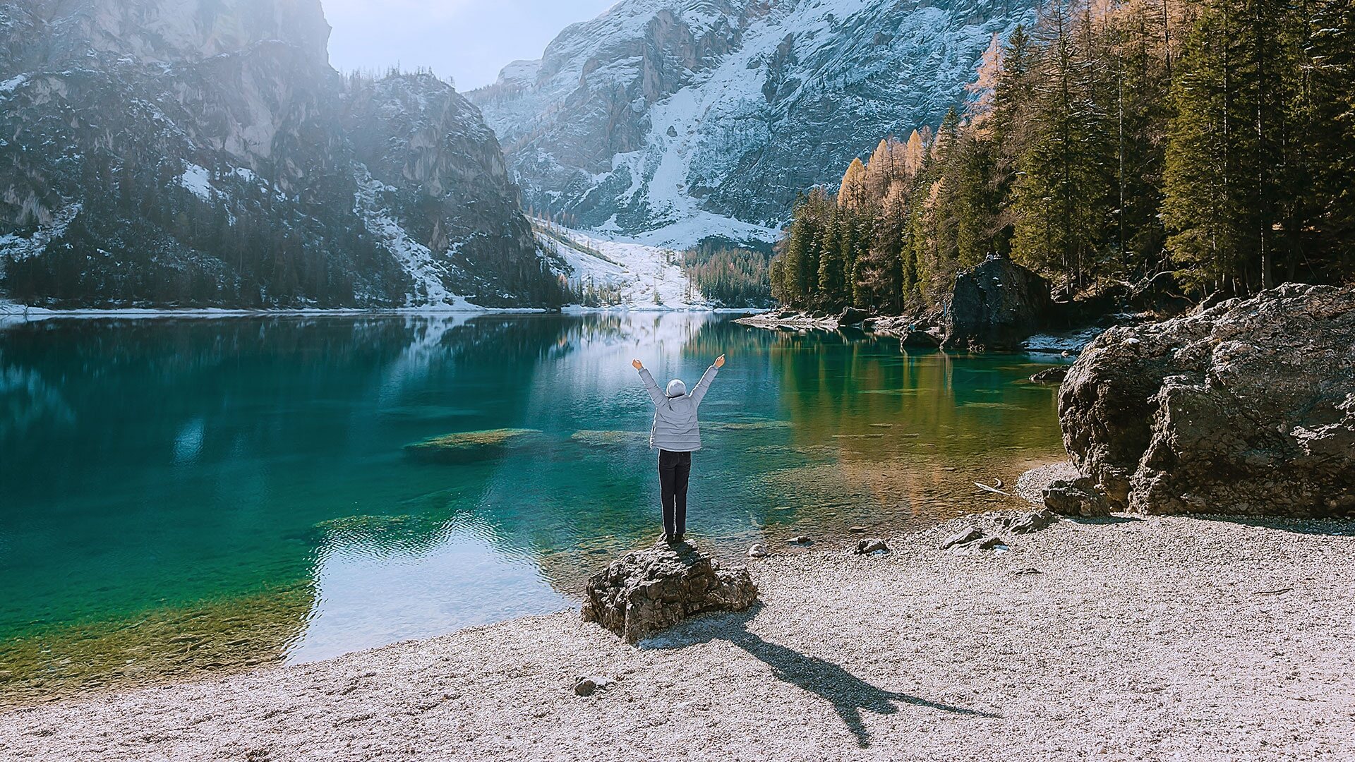 Liquidity Management Software