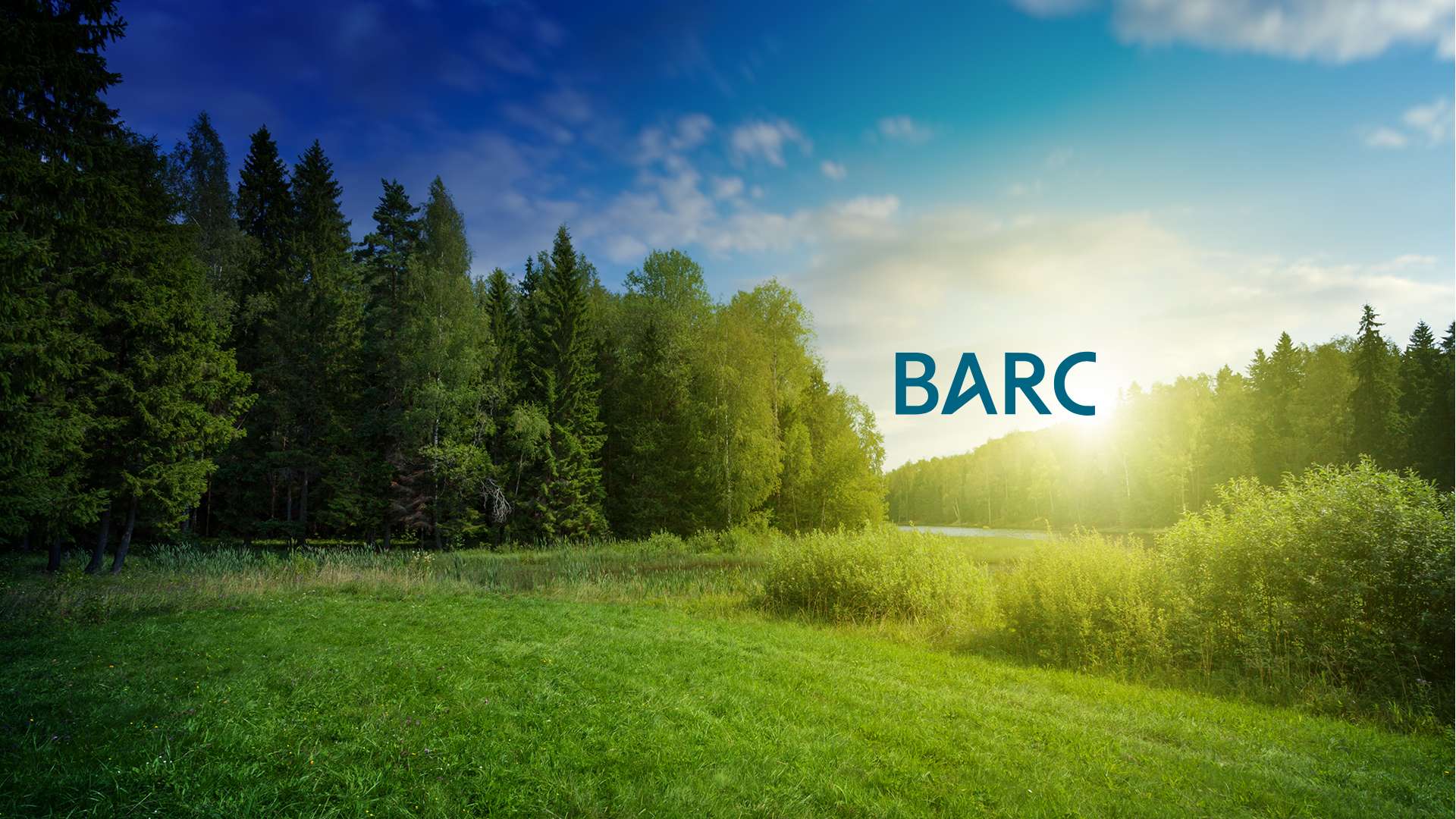 BARC The Planning Survey 23
