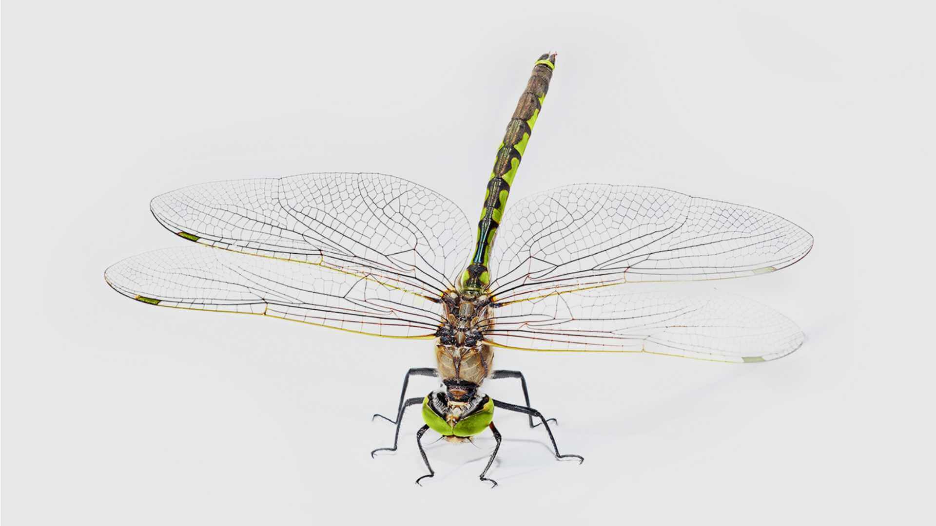 pA-cp_systemarchitektur-libelle_1920x1080